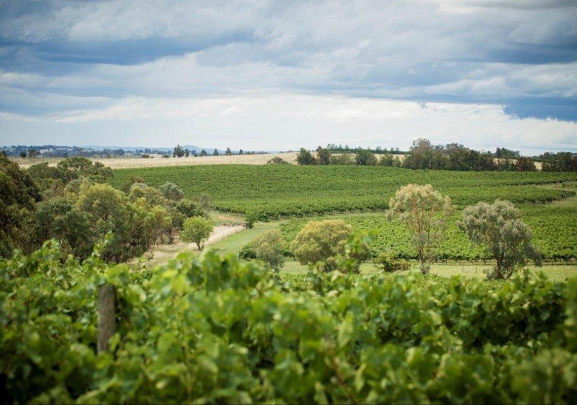 Grove Estate Wines - Hilltops Wine Region